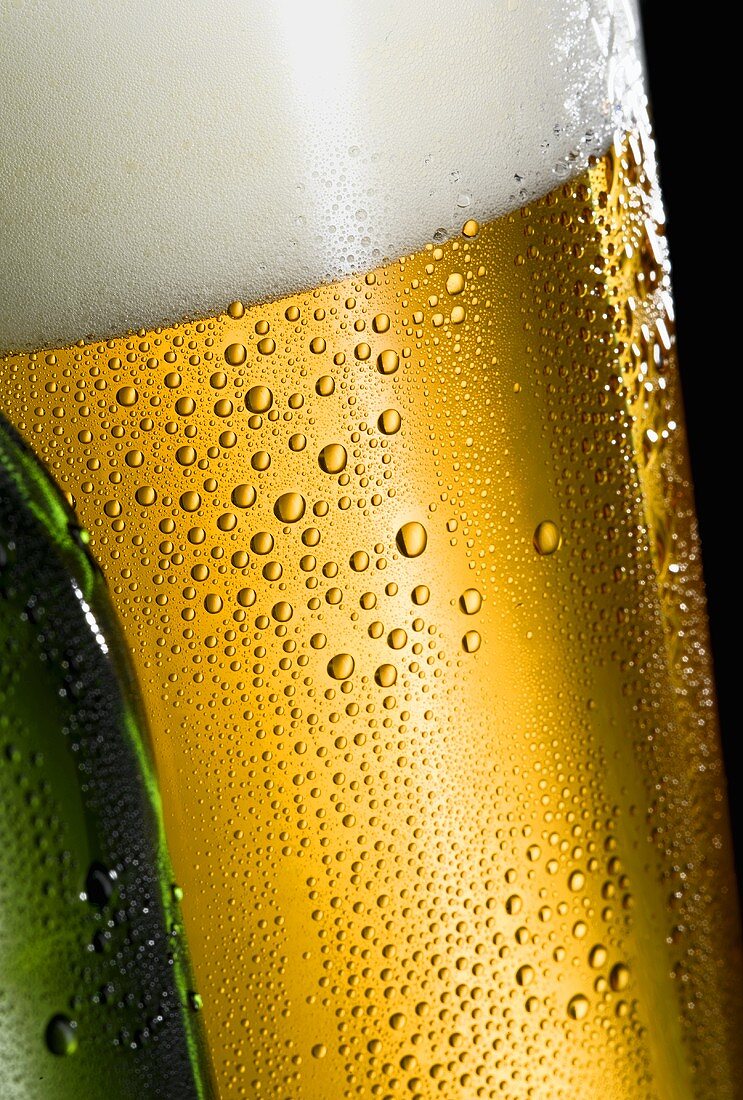 Glas helles Bier mit Wassertropfen (Close Up)