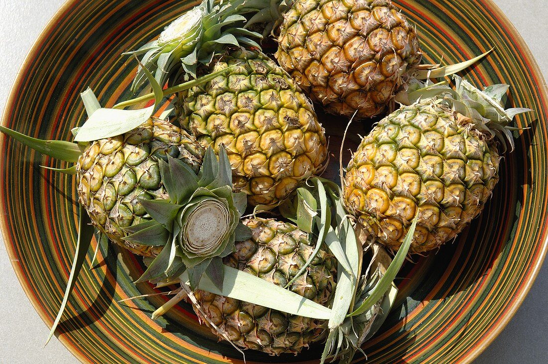 Five fresh pineapples in a fruit bowl