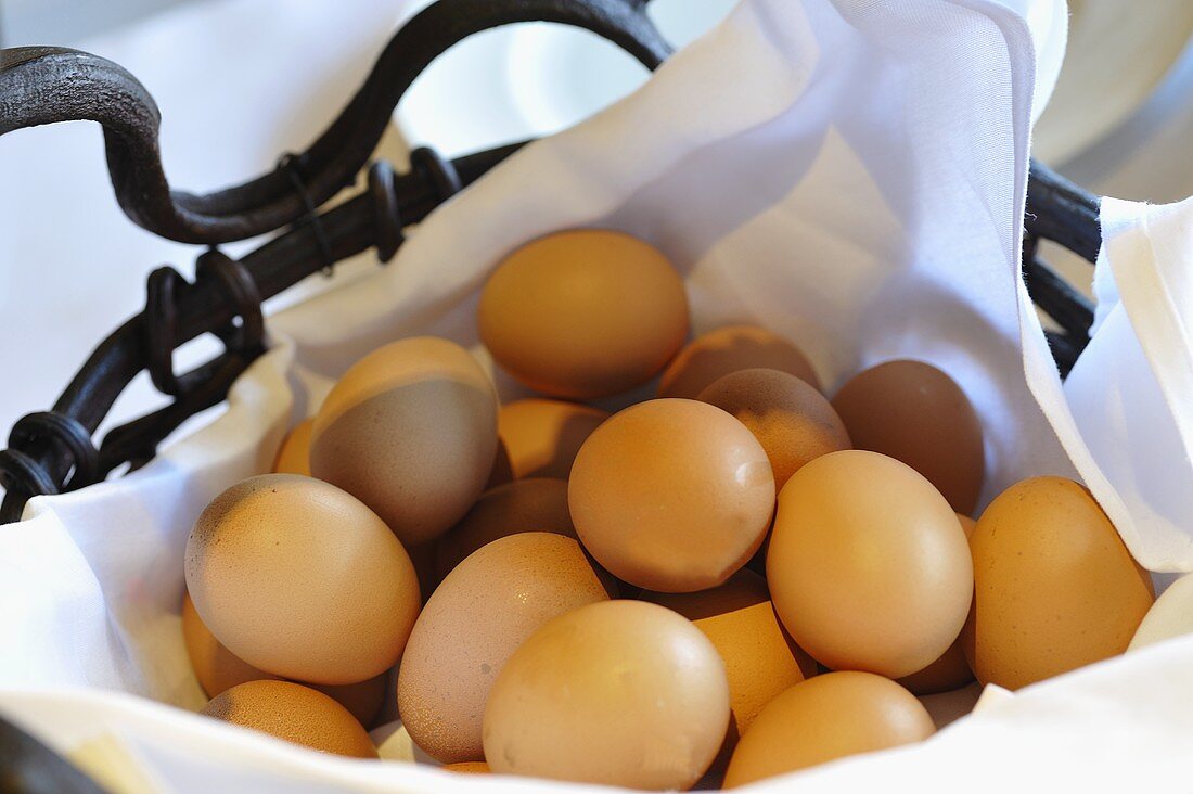Gekochte Frühstücks-Eier in einem Korb