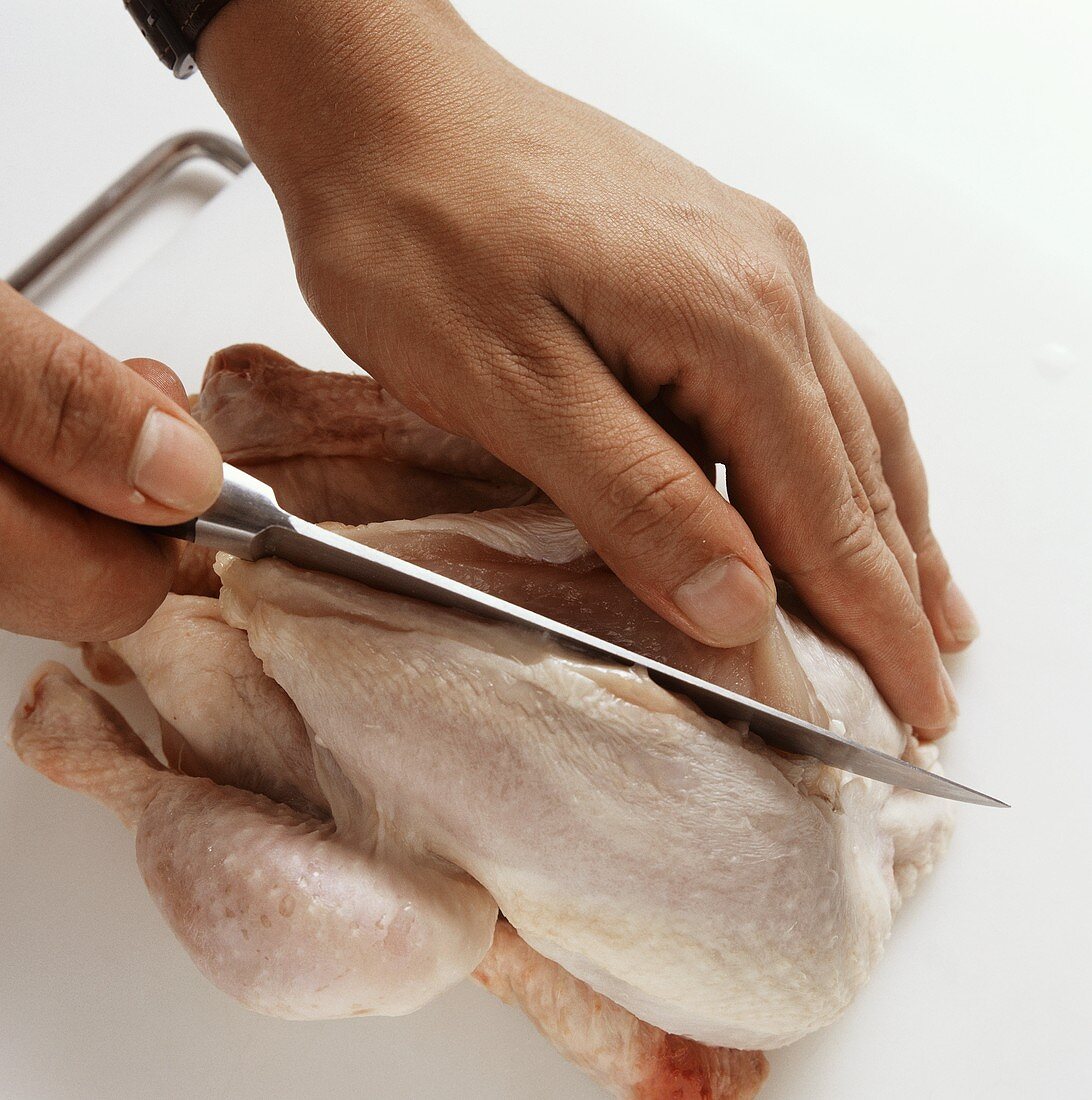 Poussin: removing the breast fillet