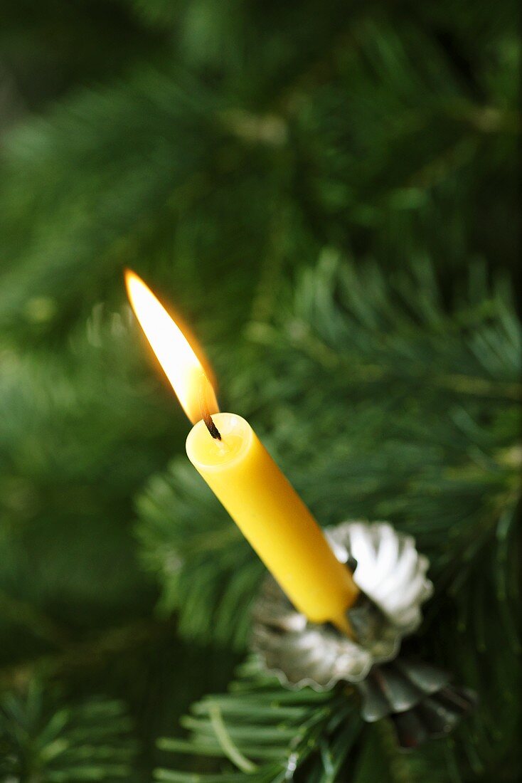 Burning candle on Christmas tree