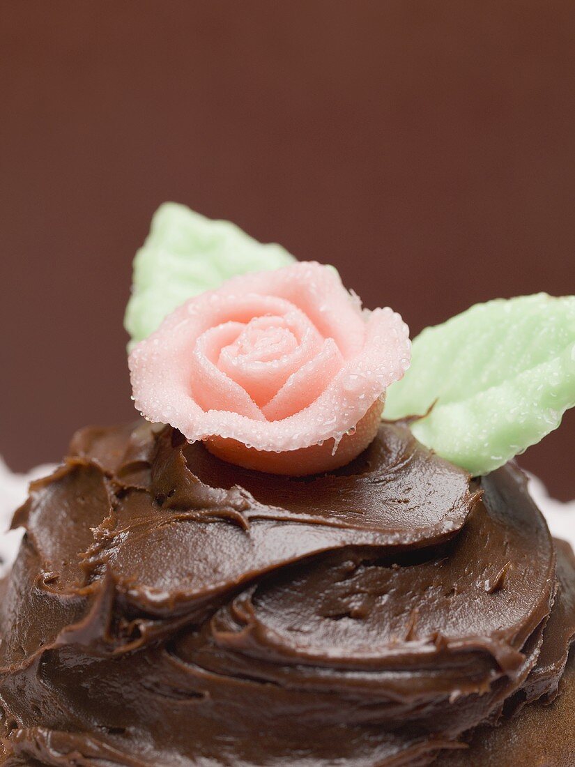 Chocolate cake with marzipan rose (close-up)