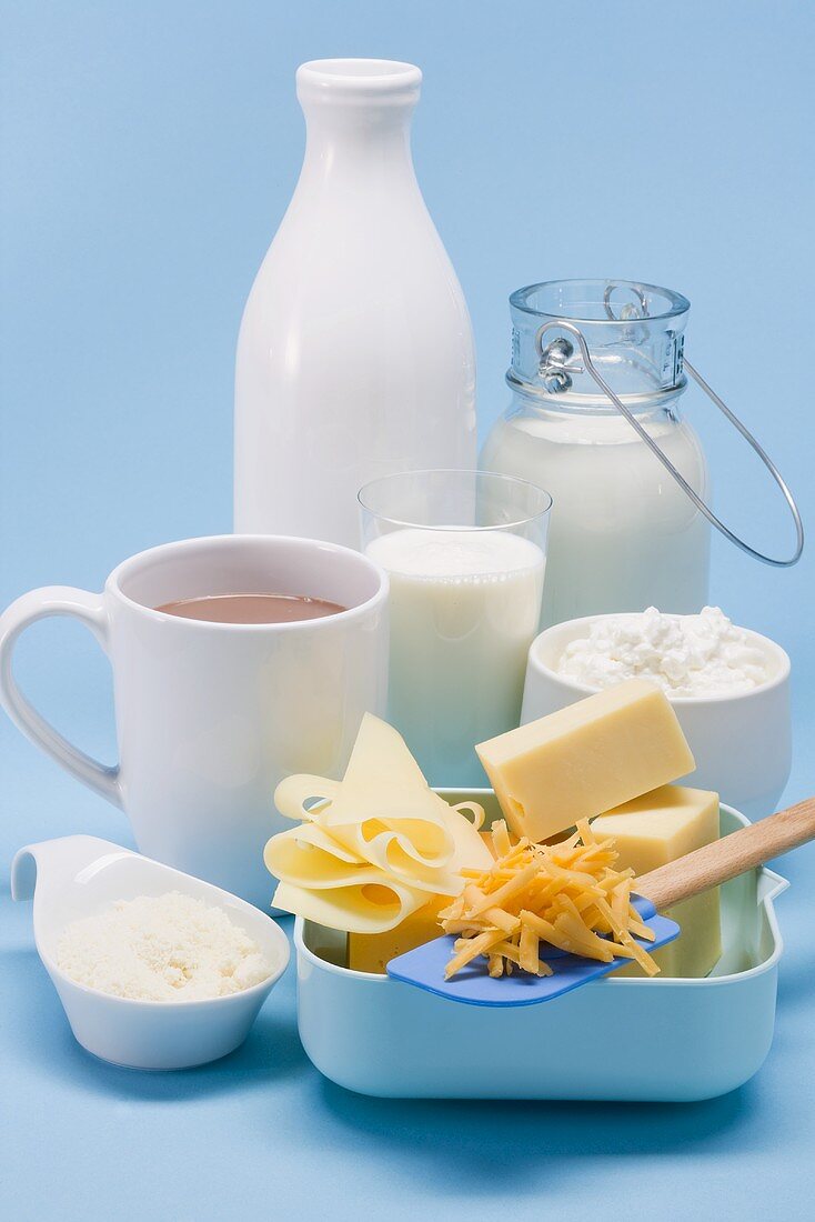Verschiedene Milchprodukte und Käse