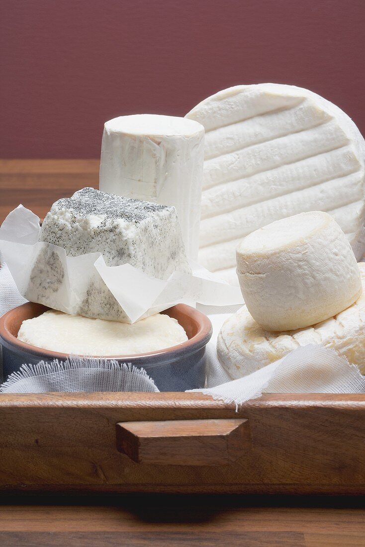 Various soft cheeses and goat's cheese