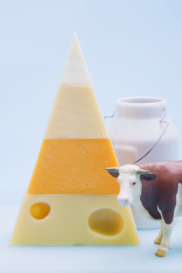 Pyramid of hard cheeses, toy cow, milk can