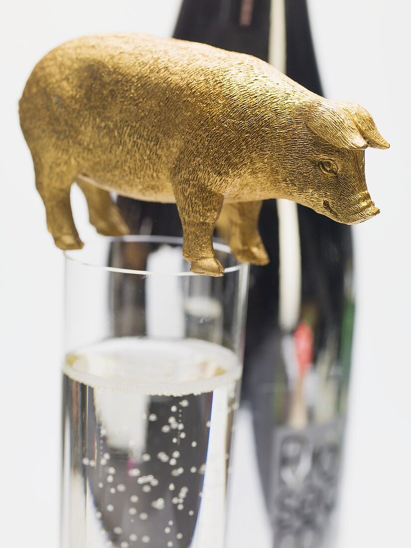 Lucky pig on glass of Prosecco