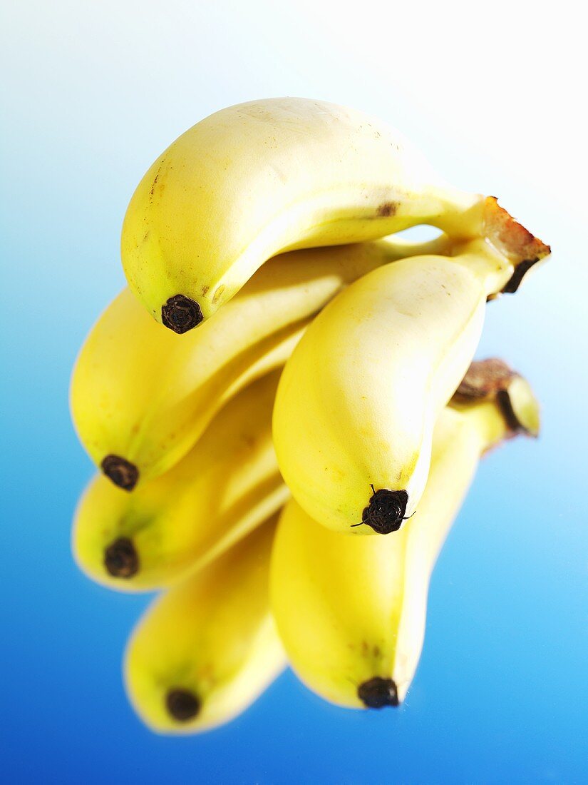 Bananenstaude mit Reflexion
