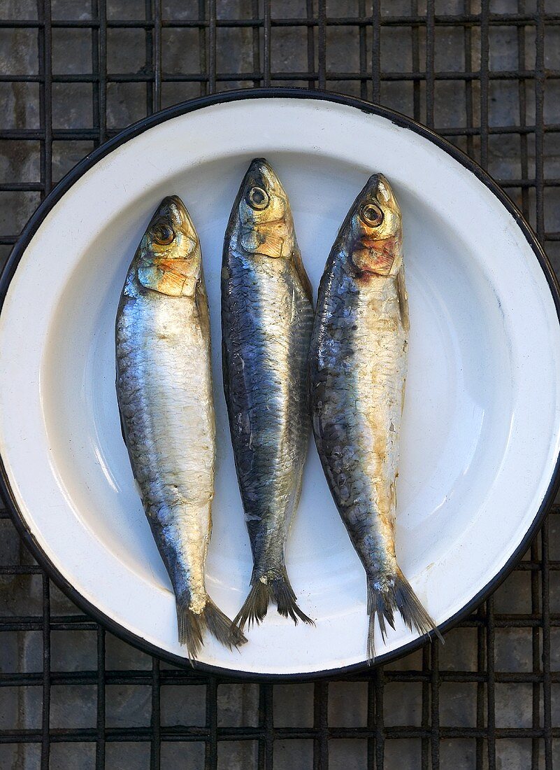 Three fresh sardines on plate from above