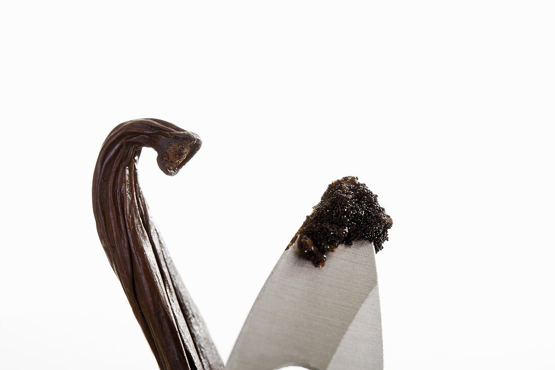 Vanilla pod and knife with vanilla seeds on tip (close-up)