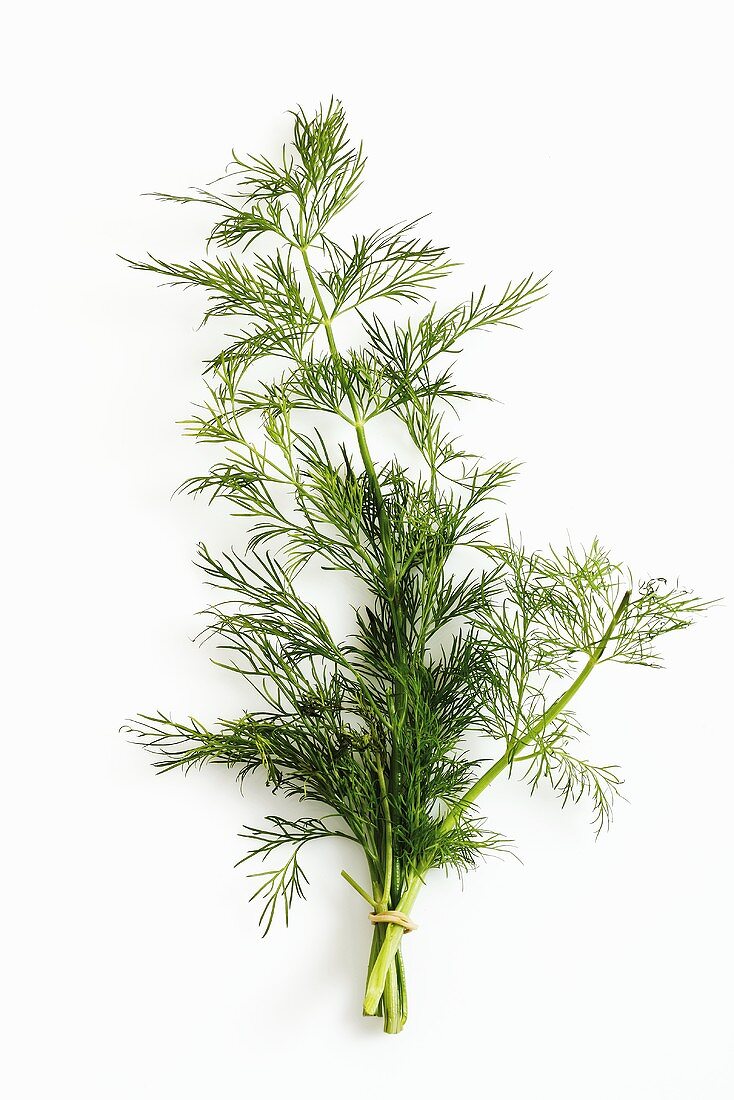 Fresh dill