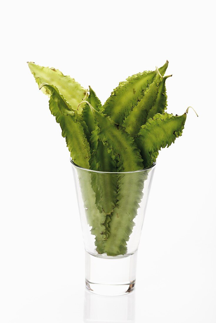 Several winged beans in glass