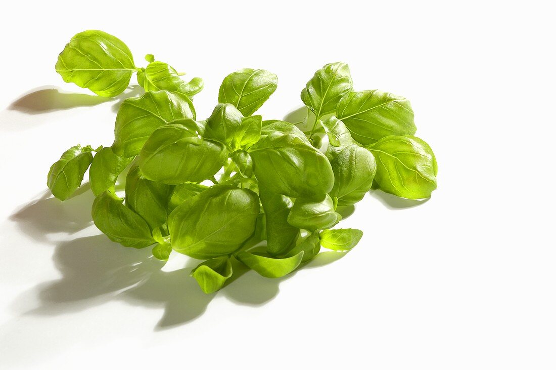 Fresh basil