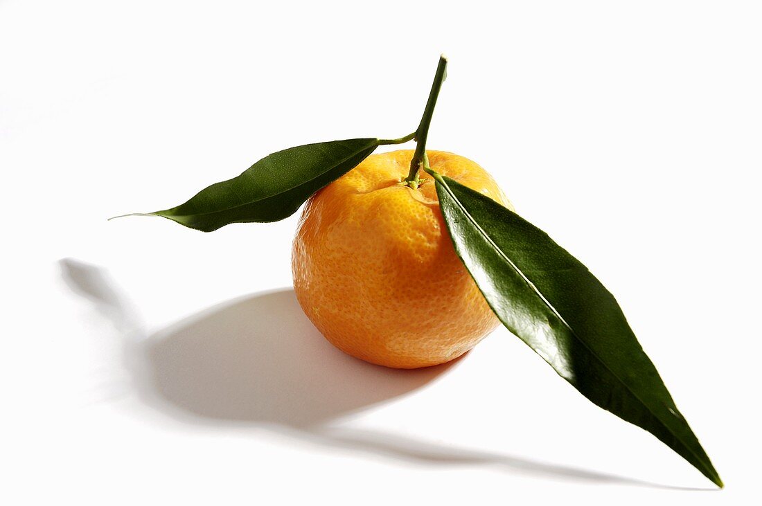 A mandarin orange with leaves