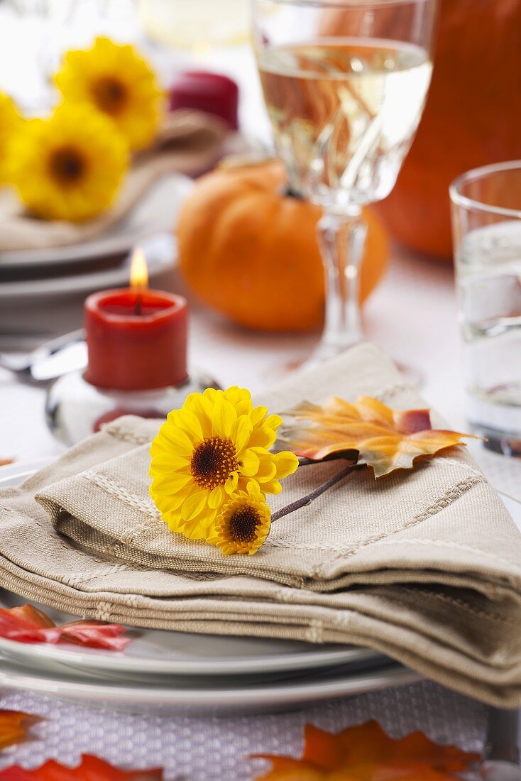 Herbstliches Gedeck für Thanksgiving