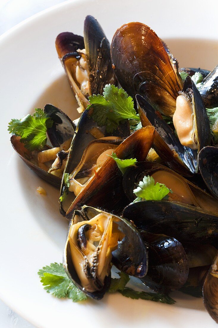 Steamed Mussels with Parsley