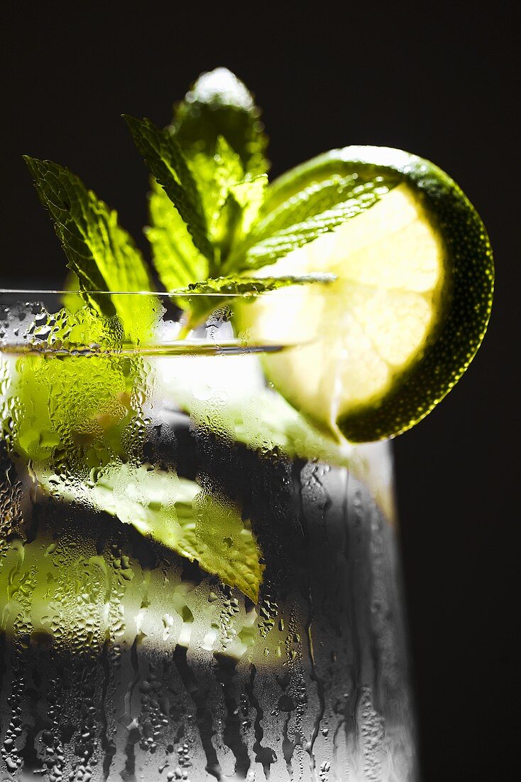 Vodka Cocktail with Mint and Lime