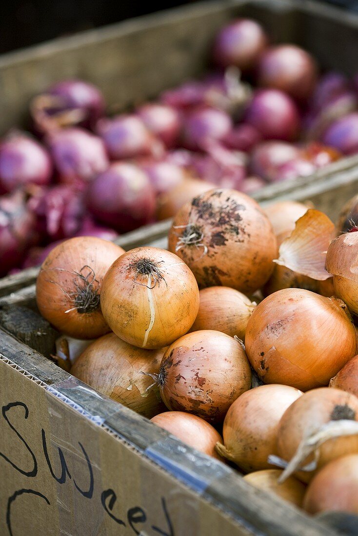 Braune Zwiebeln und Schalotten in Steigen auf einem Markt