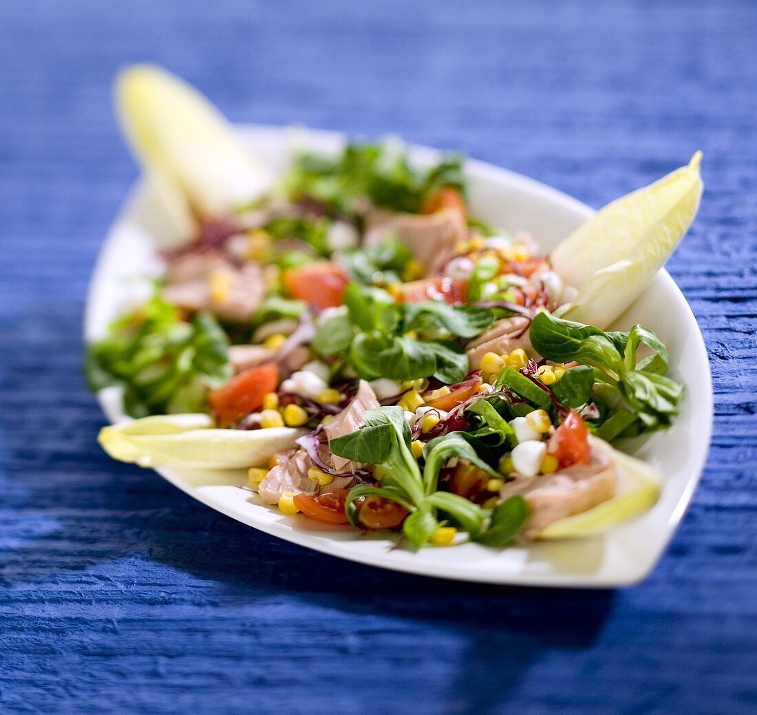 Bunter Salat mit Feldsalat und Thunfisch