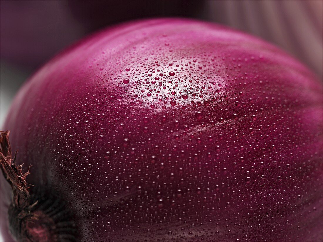 Red onion with drops of water (close-up)