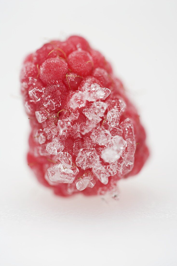 A frozen raspberry