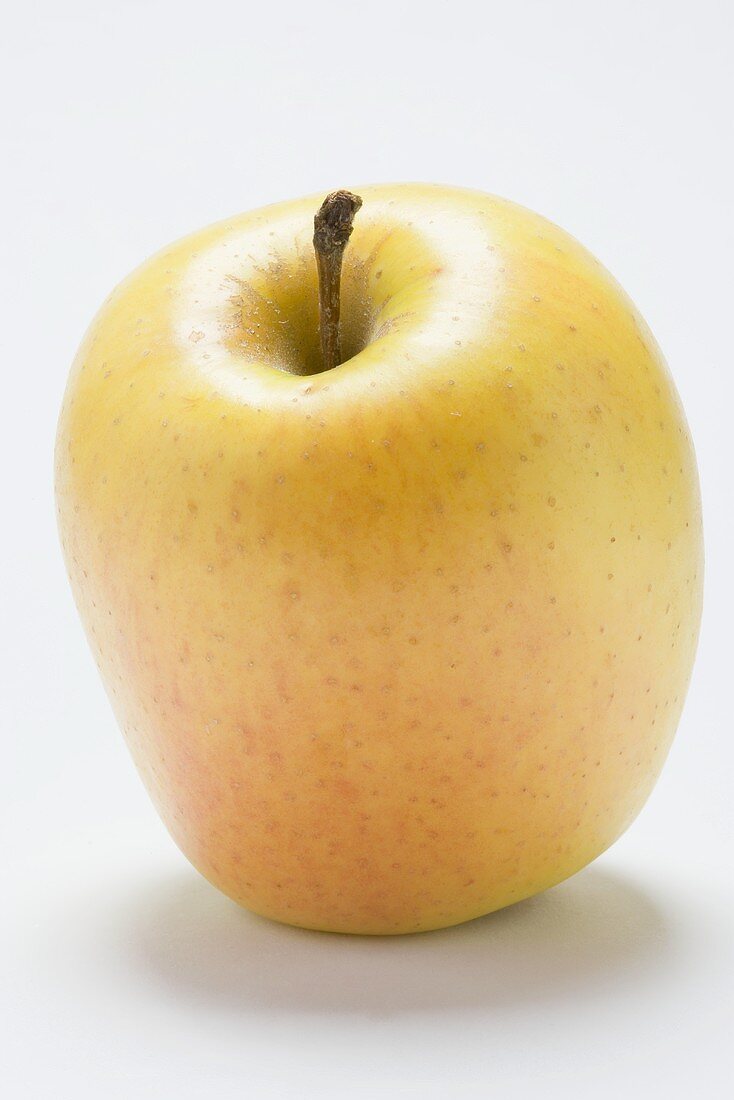 An apple (variety 'Marlene')