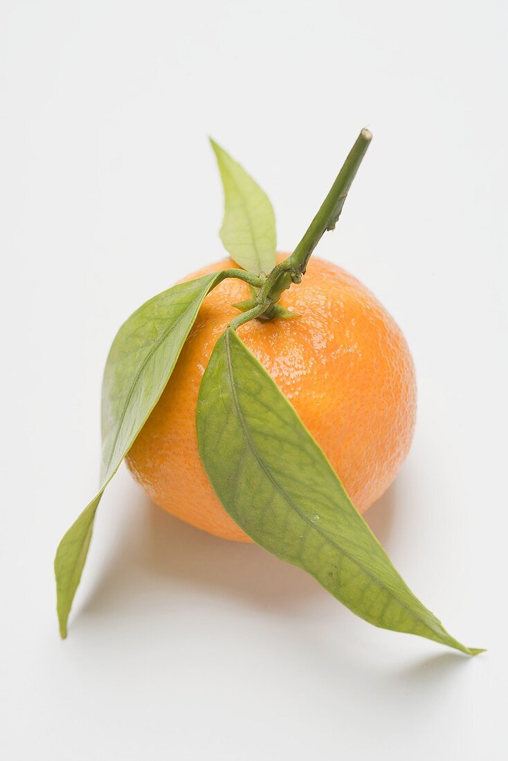 Clementine with leaves