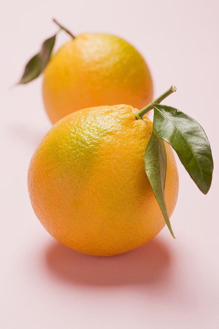 Two oranges with leaves