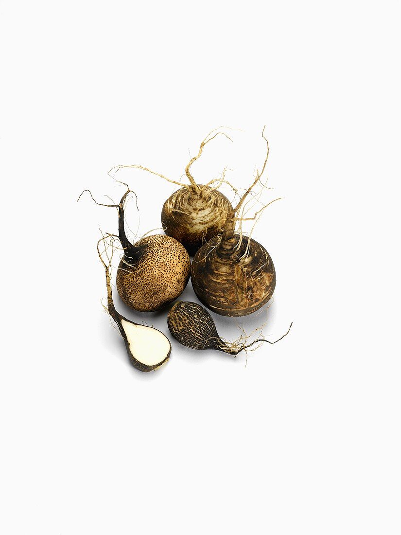 Black Radishes on White Background