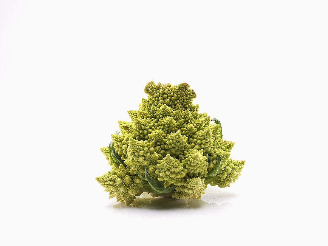 Romanesco Broccoli on White Background
