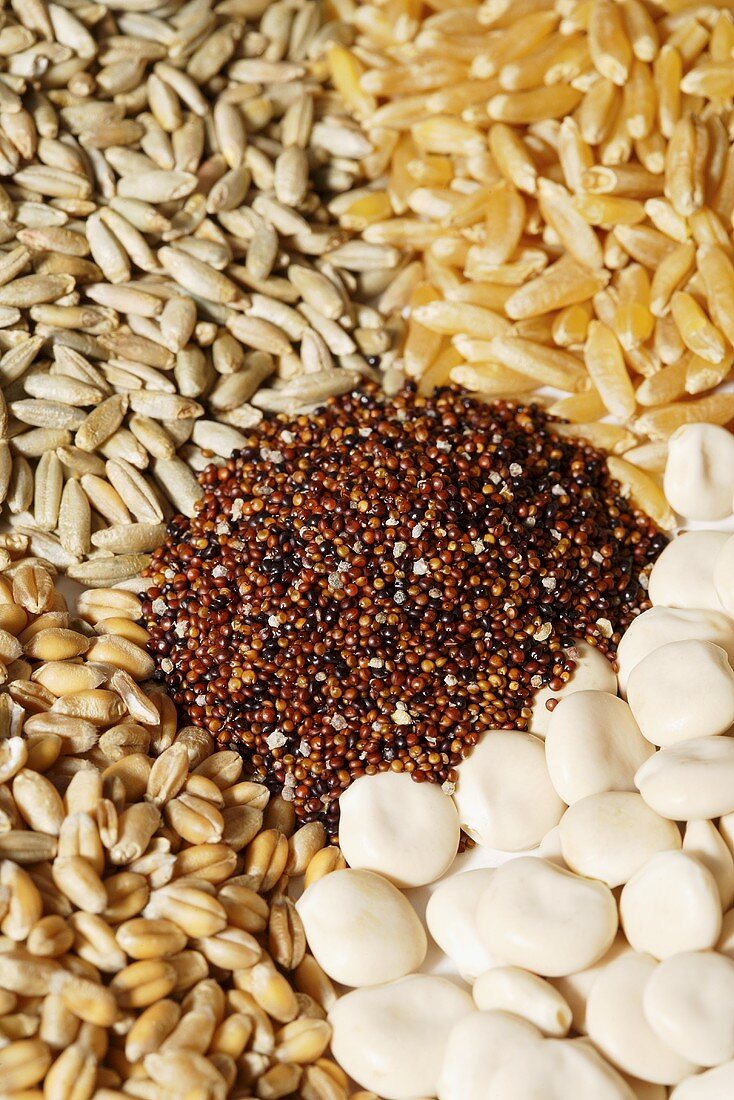 Five different types of cereal grains (full-frame)