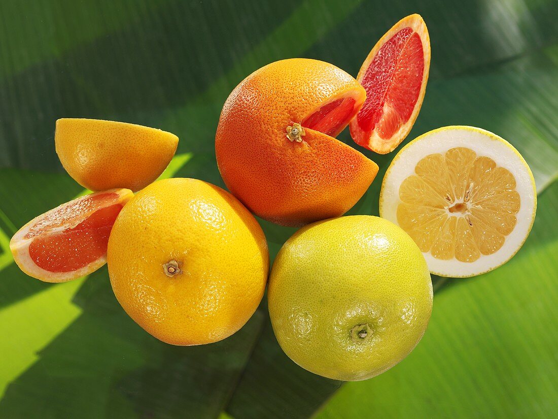 Various types of grapefruit and pieces of grapefruit on banana leaf