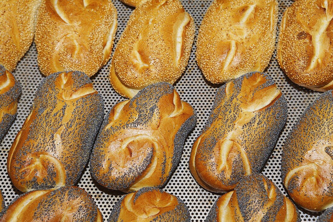 Sesam- und Mohnbrötchen auf einem Backblech