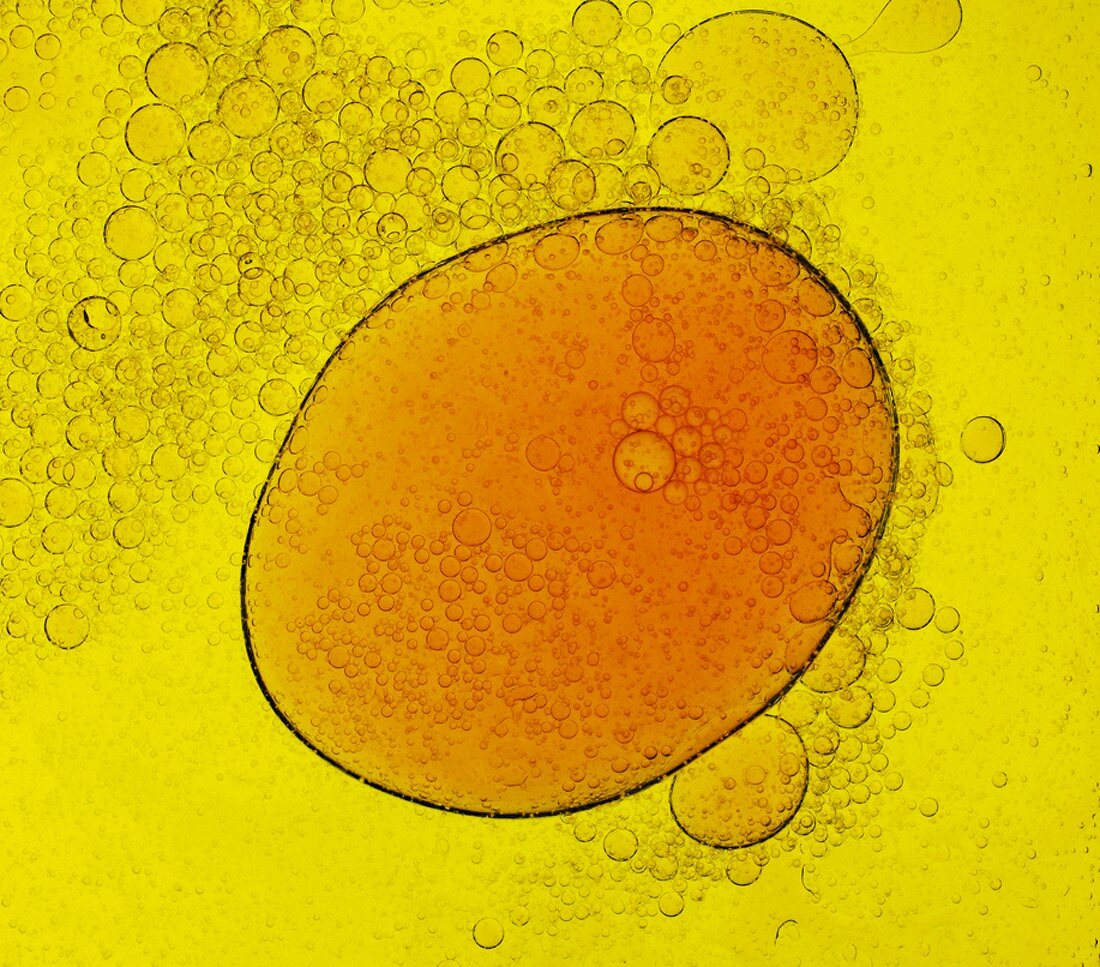 Olive oil with bubbles (full-frame)