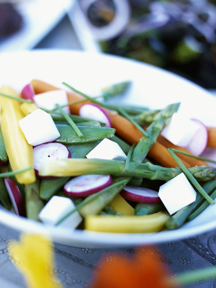 Vegetable salad with tofu and chives