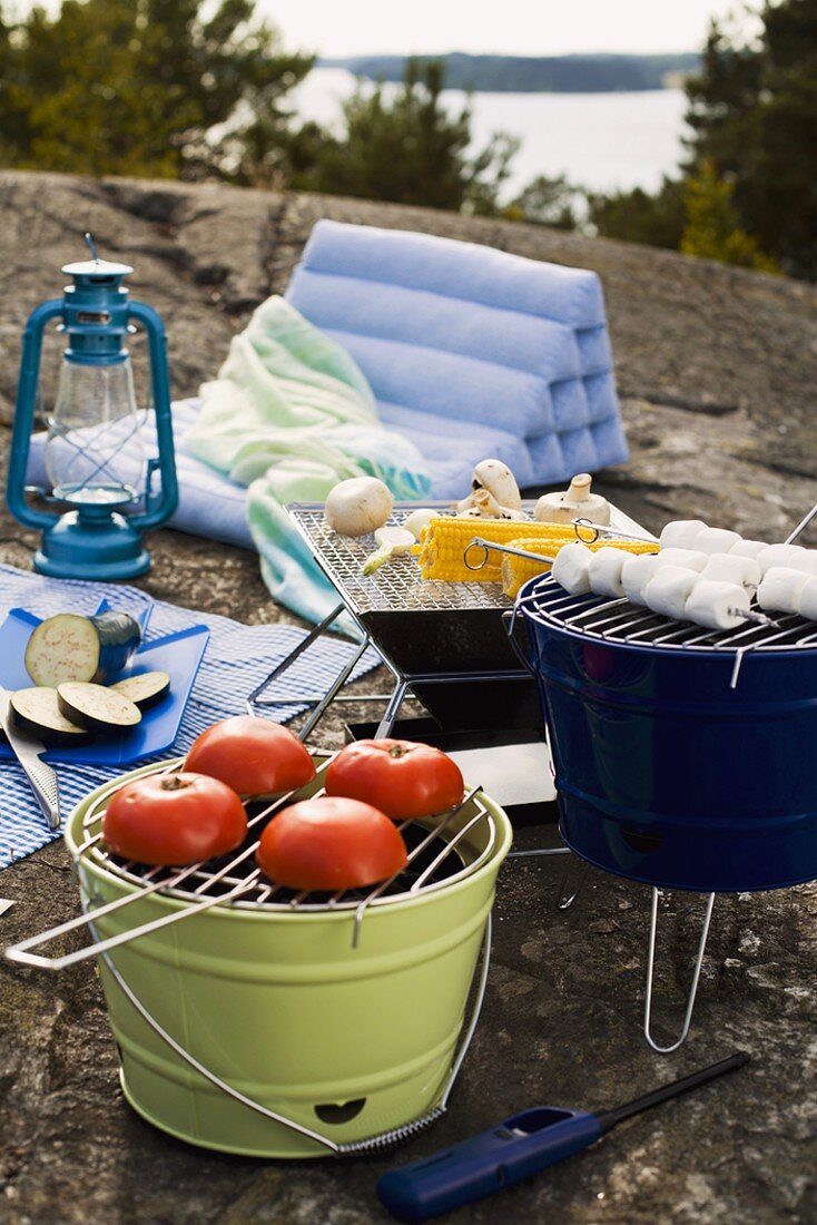 Picnic with vegetables for grilling and marshmallow skewers