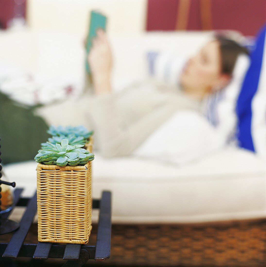 Pflanzenkorb, im Hintergrund Frau liest auf dem Sofa liegend