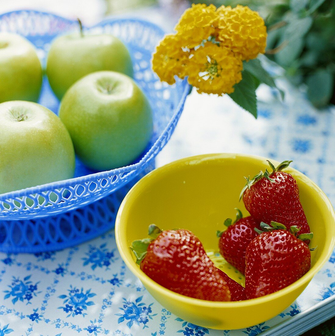 Erdbeeren und Äpfel in Schalen