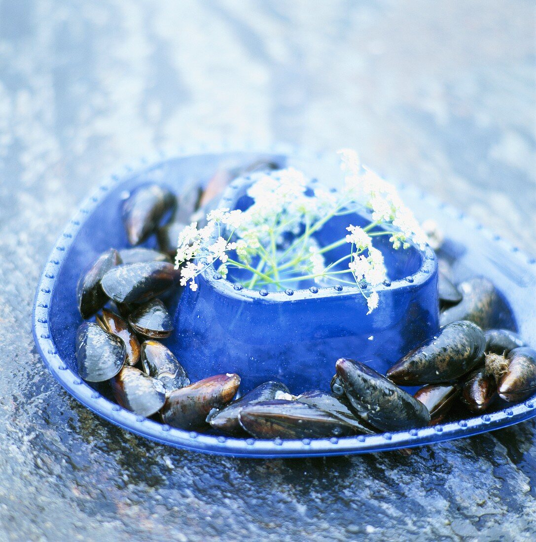 Mussels in a blue dish