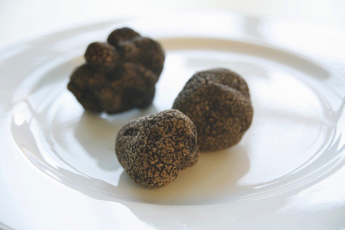 Black truffles (Chinese truffles) on porcelain plate