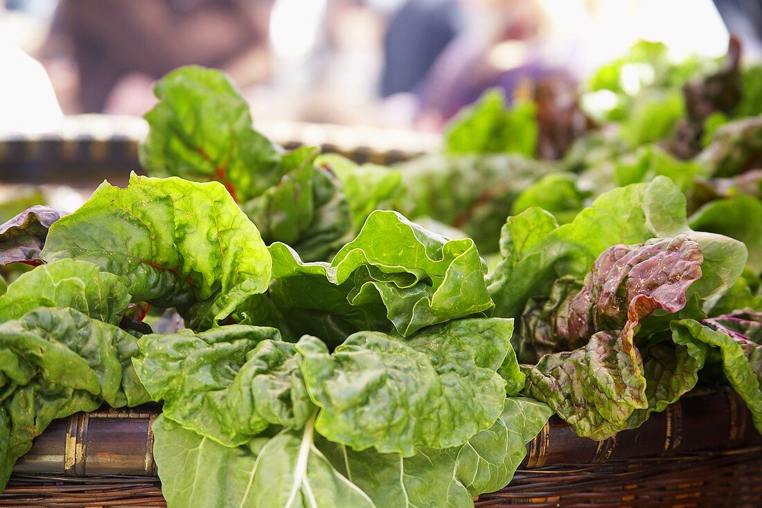 Korb mit Bio-Salaten auf einem Markt