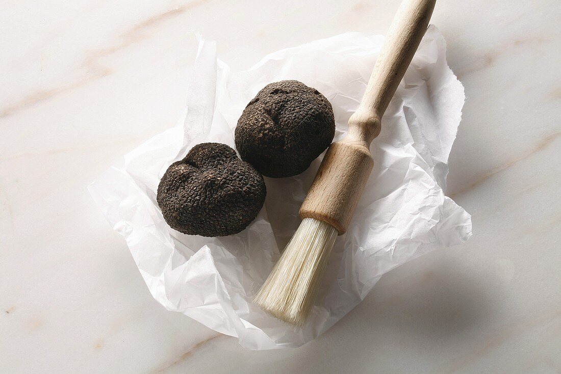 Black truffles (Perigord truffles) with brush on paper