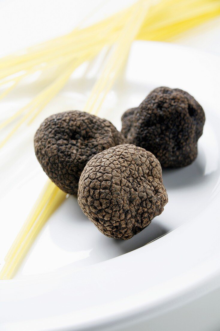 Black truffles (Chinese truffles) and spaghetti on plate