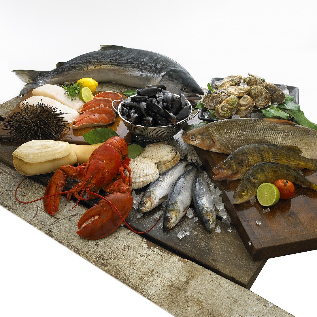 Fish and seafood still life