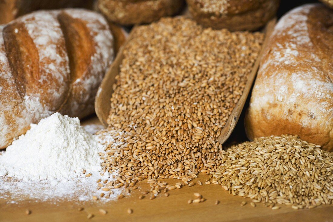 Verschiedene Brote, Getreidekörner und Mehl