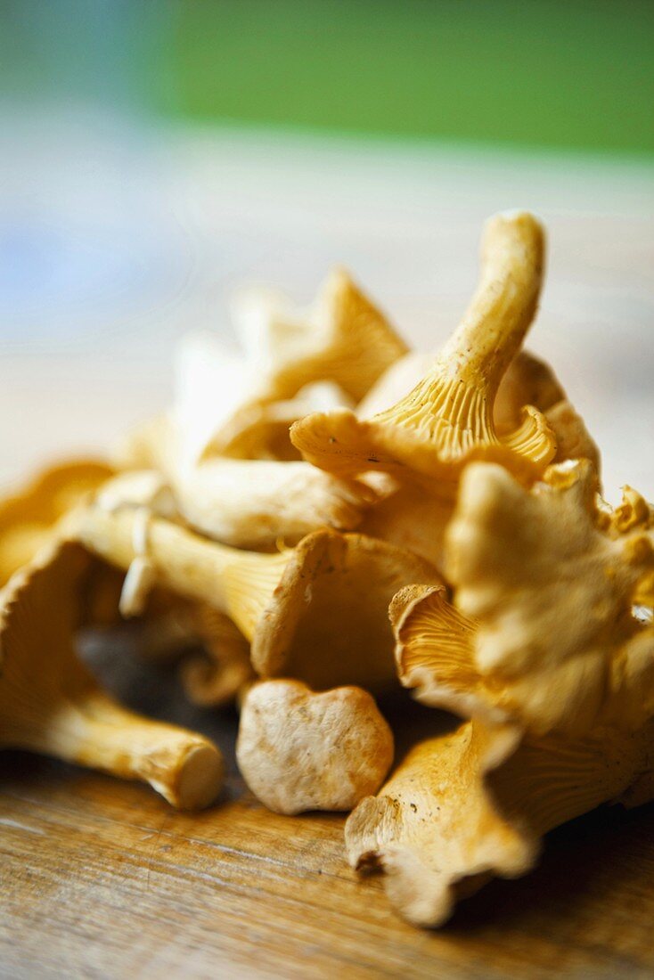 Chanterelles