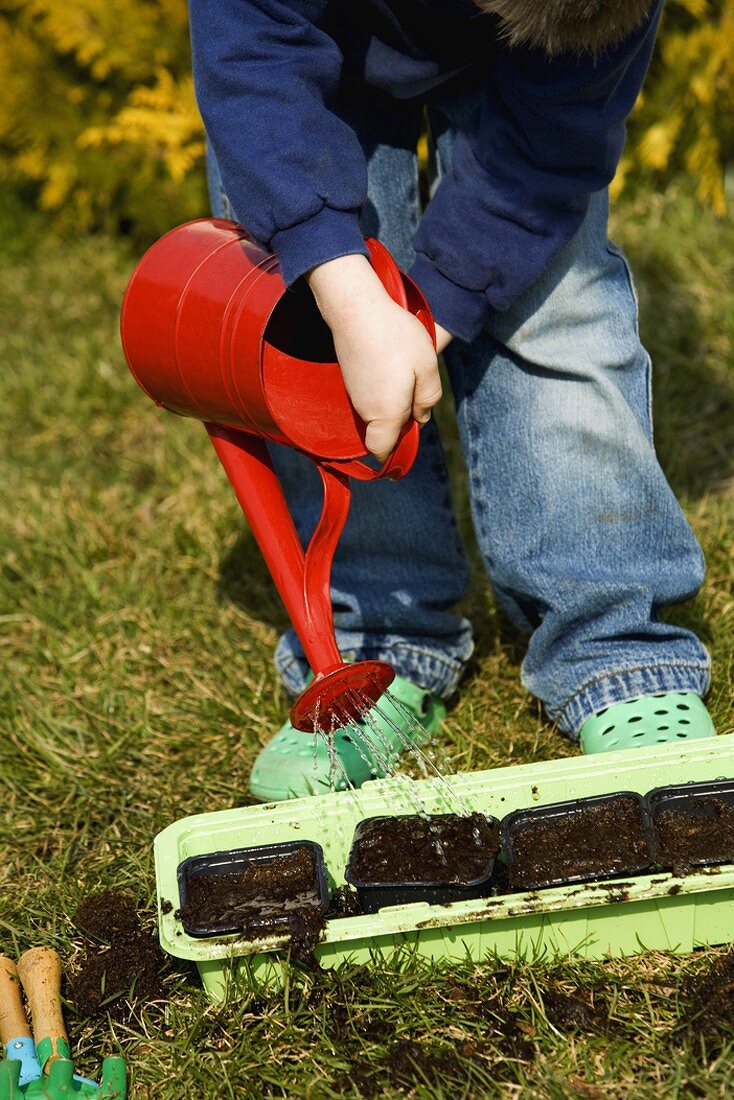 Little boy watering plants in garden