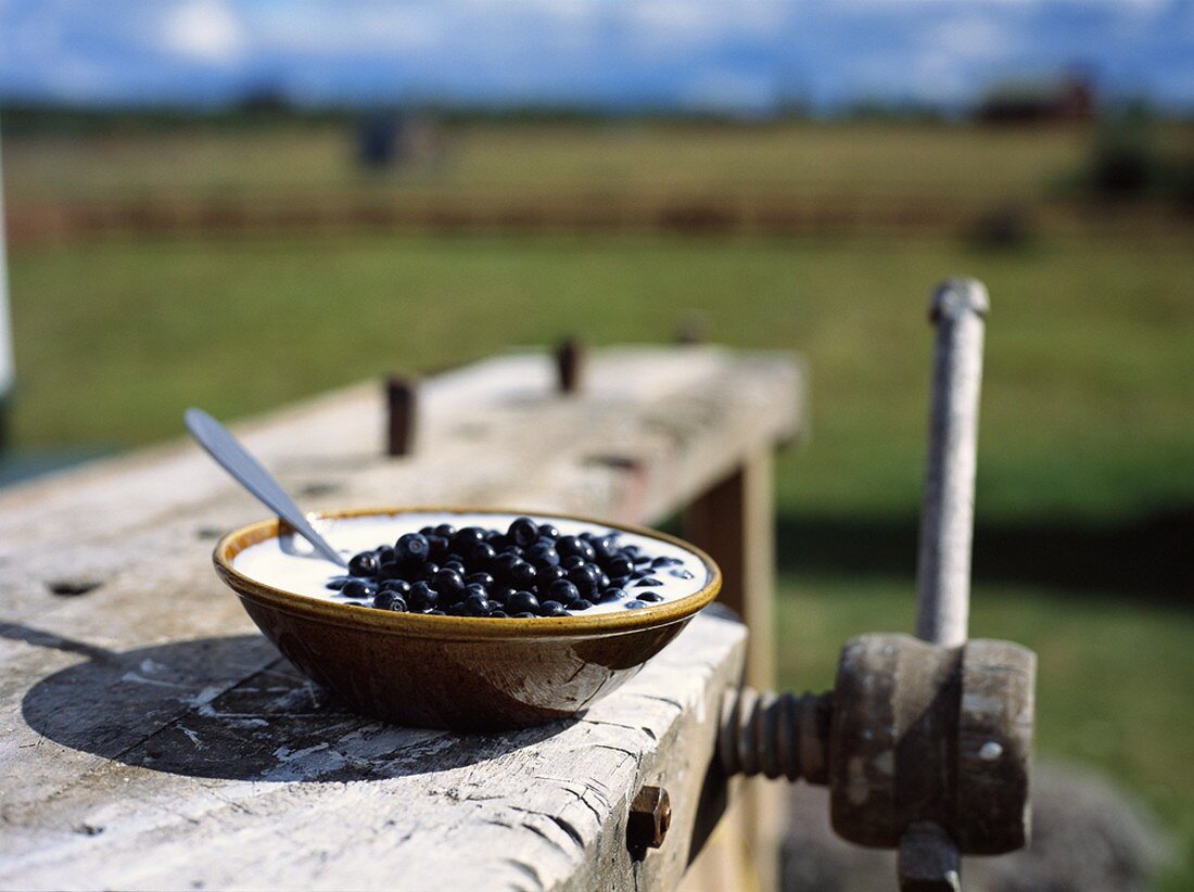 Sour milk with blueberries on work table out of doors