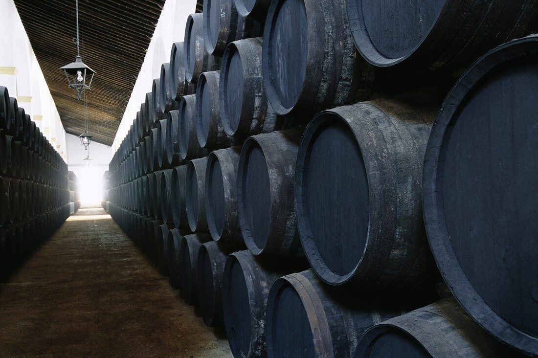 Sherry barrels in wine cellar