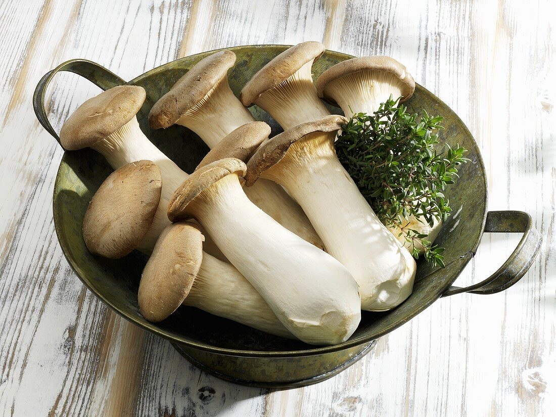 King oyster mushrooms in metal container