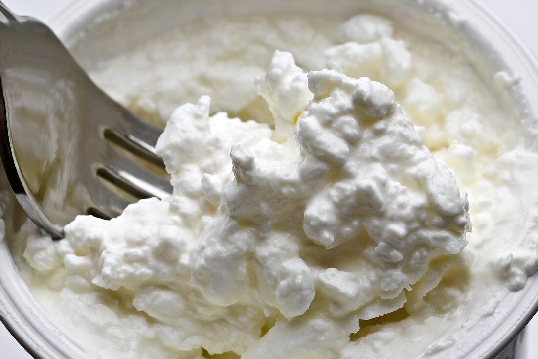 Cottage cheese in tub with fork (close-up)
